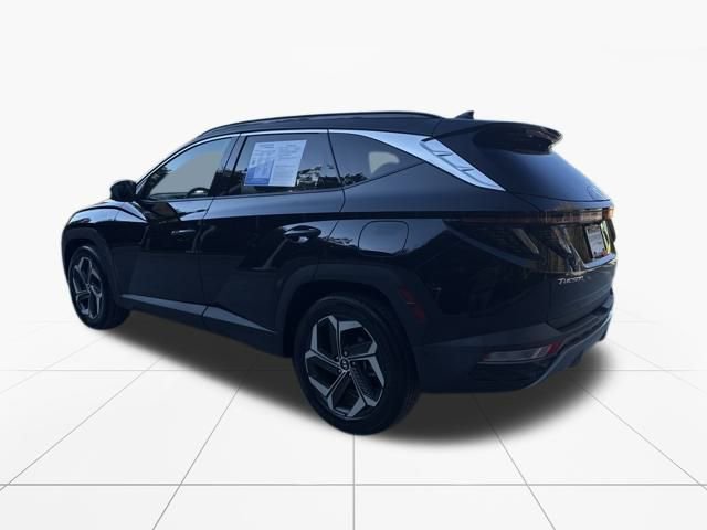 Used 2023 Hyundai Tucson Limited w/ Cargo Package image 6