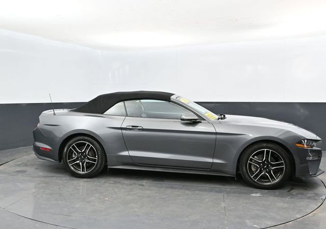 Used 2023 Ford Mustang Premium RWD image 5