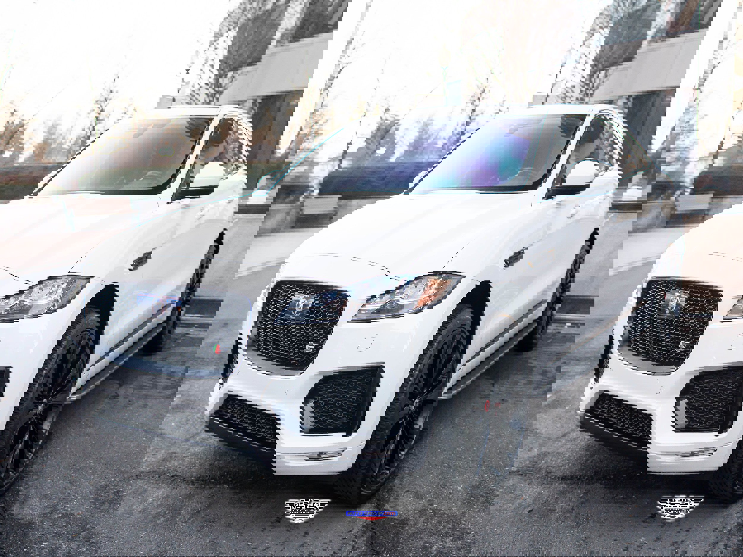 Used 2019 Jaguar F-PACE S image 3