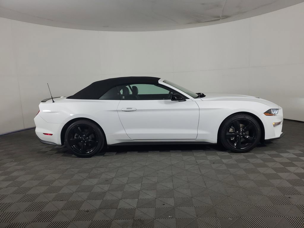 Used 2021 Ford Mustang Premium w/ Equipment Group 201A image 3