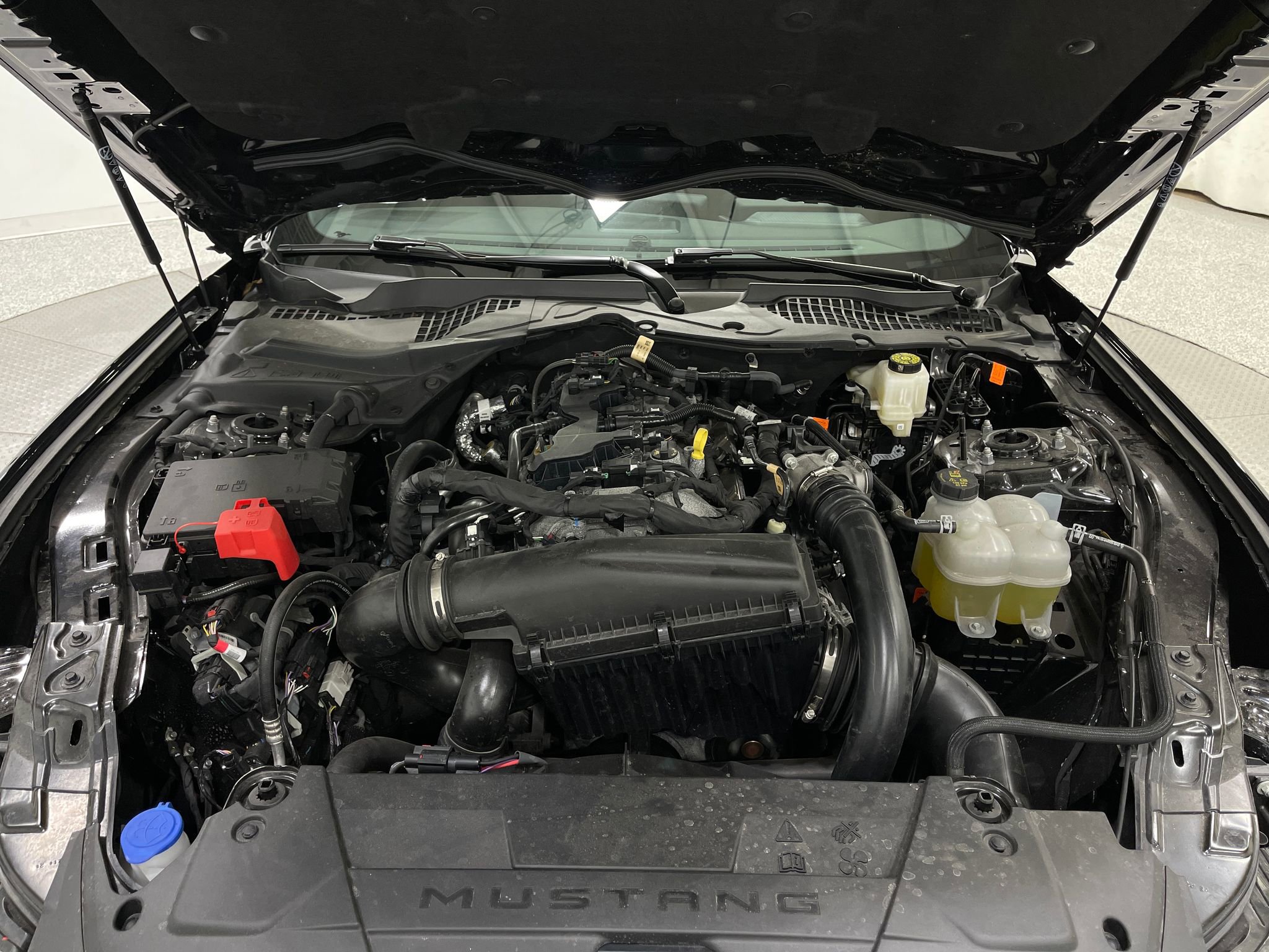 Used 2026 Ford Mustang Coupe RWD image 24