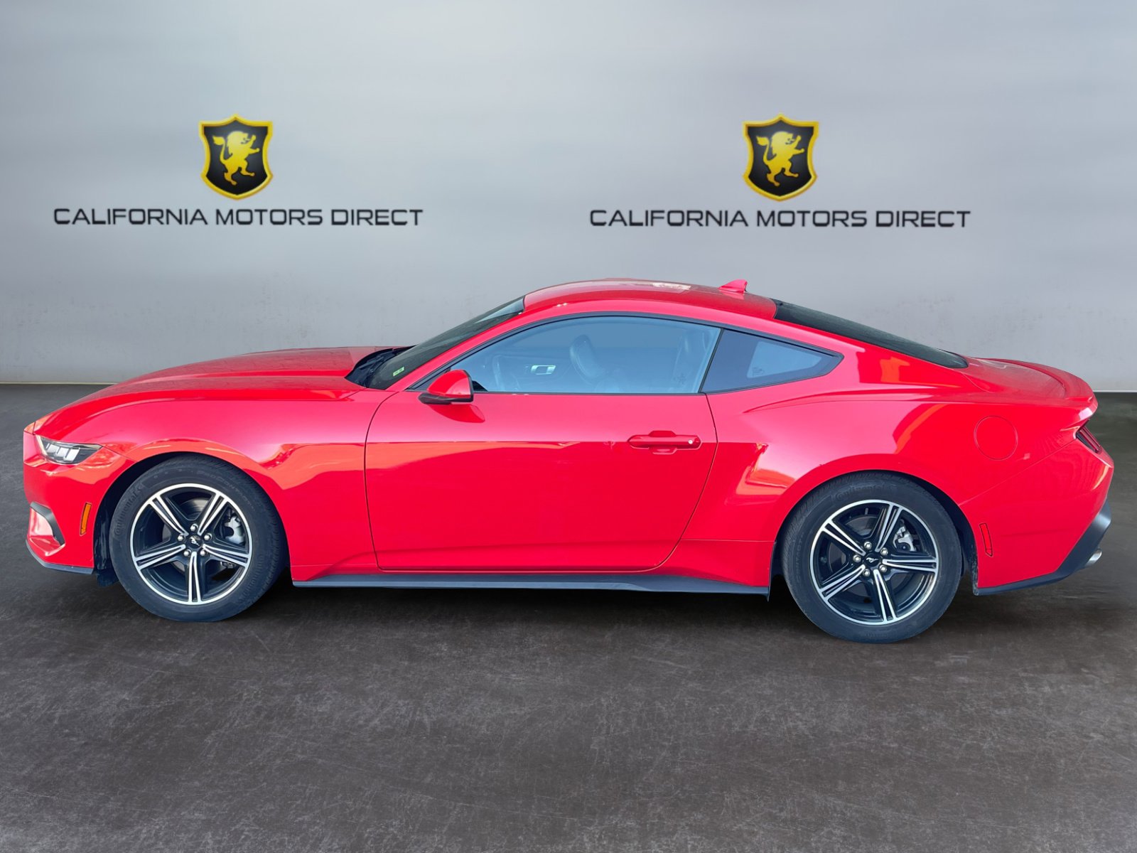 Used 2024 Ford Mustang Premium image 2