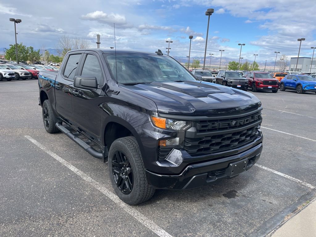 Used 2024 Chevrolet Silverado 1500 Custom Trail Boss w/ Turbomax Blackout Package image 3