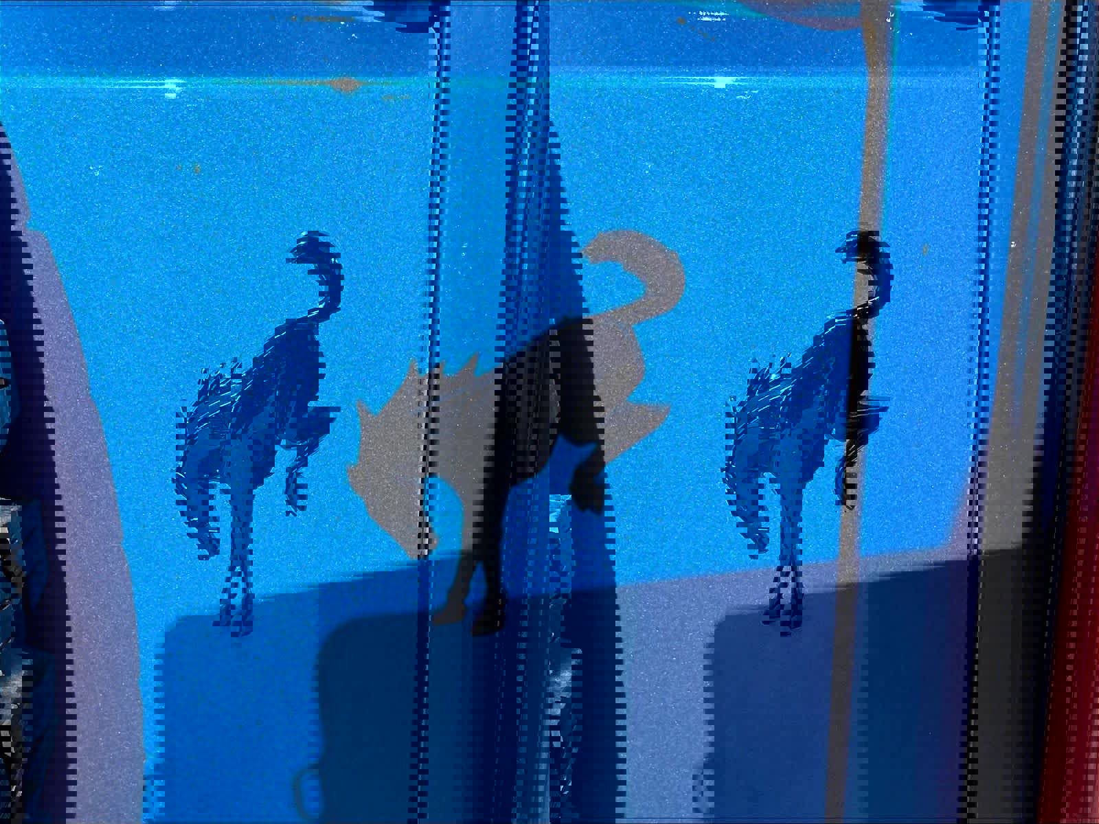 Used 2021 Ford Bronco Wildtrak image 10