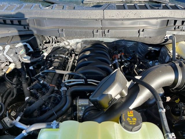 New 2025 Ford F150 STX w/ LOBO Package image 25