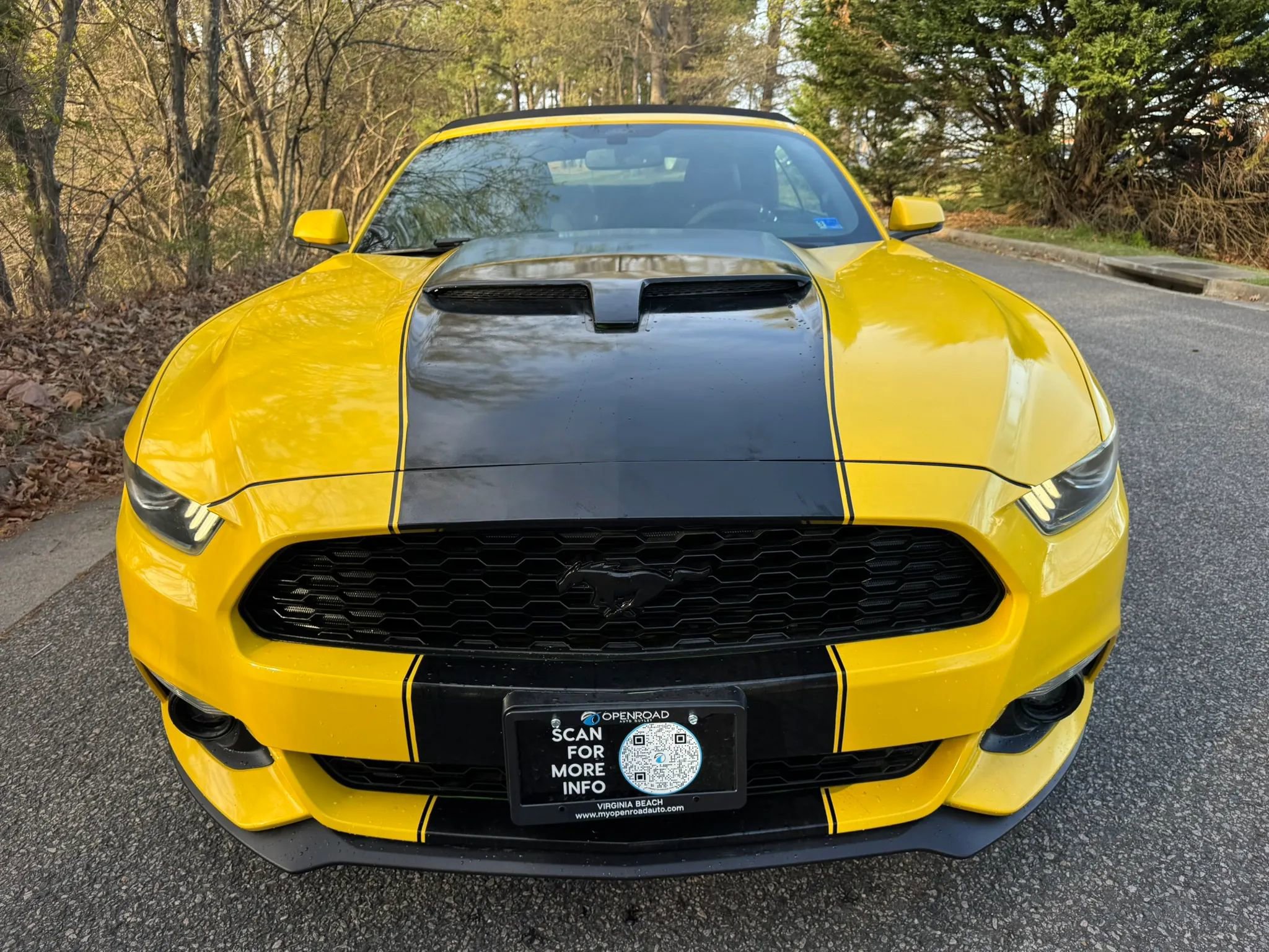 Used 2016 Ford Mustang Premium image 6