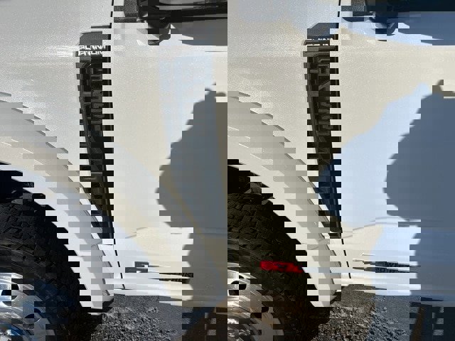 Used 2025 Ford F450 Platinum w/ FX4 Off-Road Package image 5