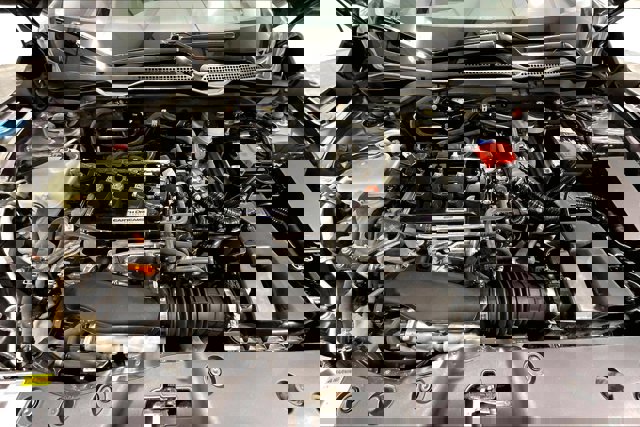 Used 2020 Honda Civic EX image 10