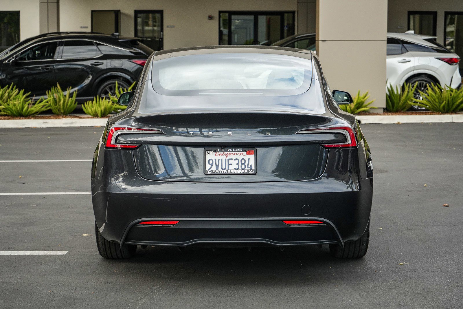 Used 2025 Tesla Model 3 Long Range RWD image 5