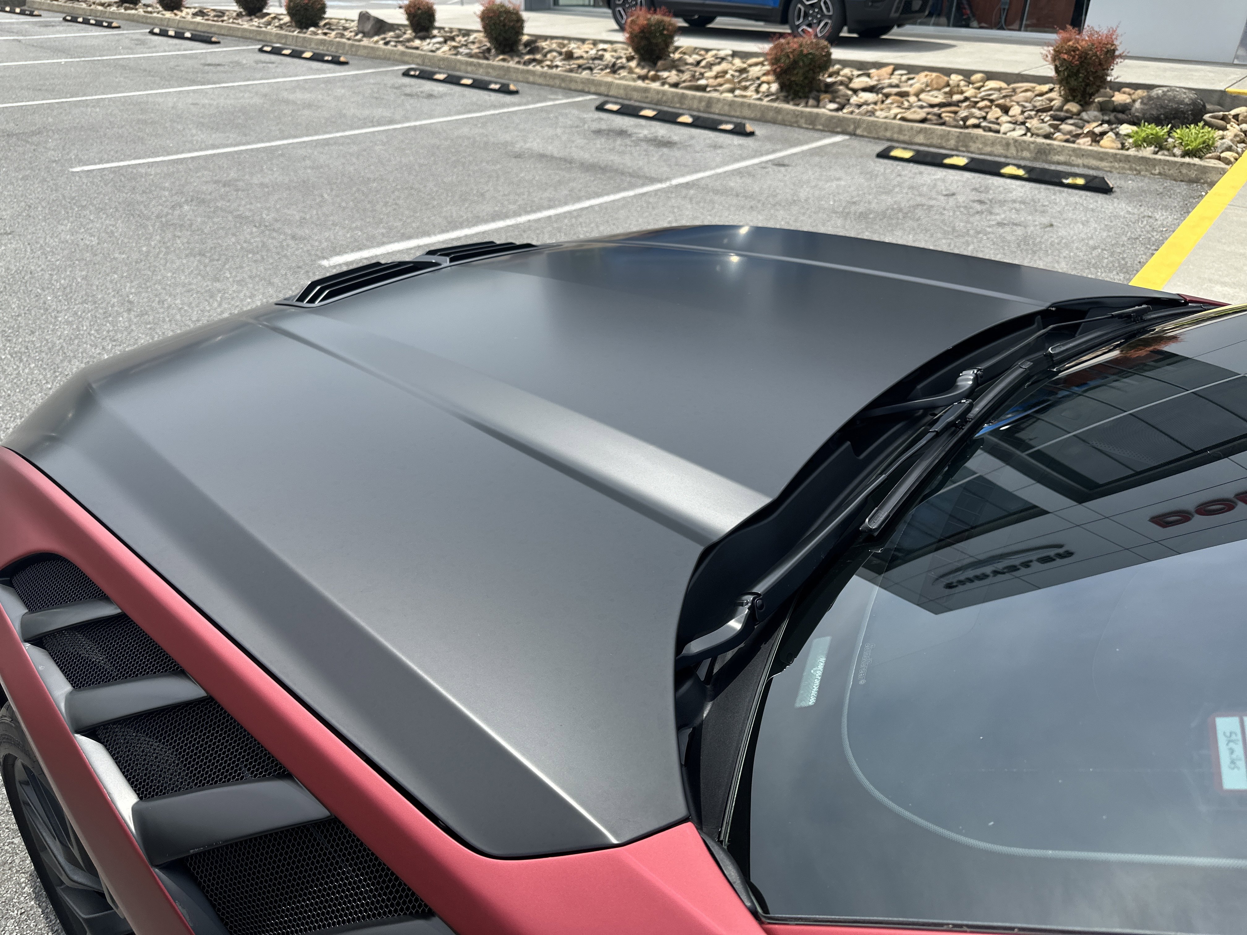 Used 2024 Ford Mustang GT Premium image 14