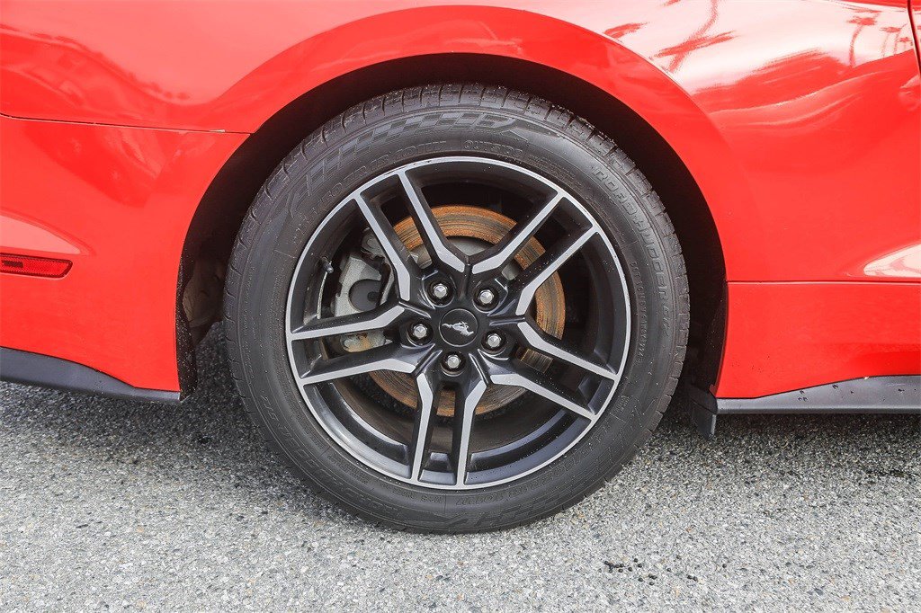 Used 2019 Ford Mustang GT Premium image 10