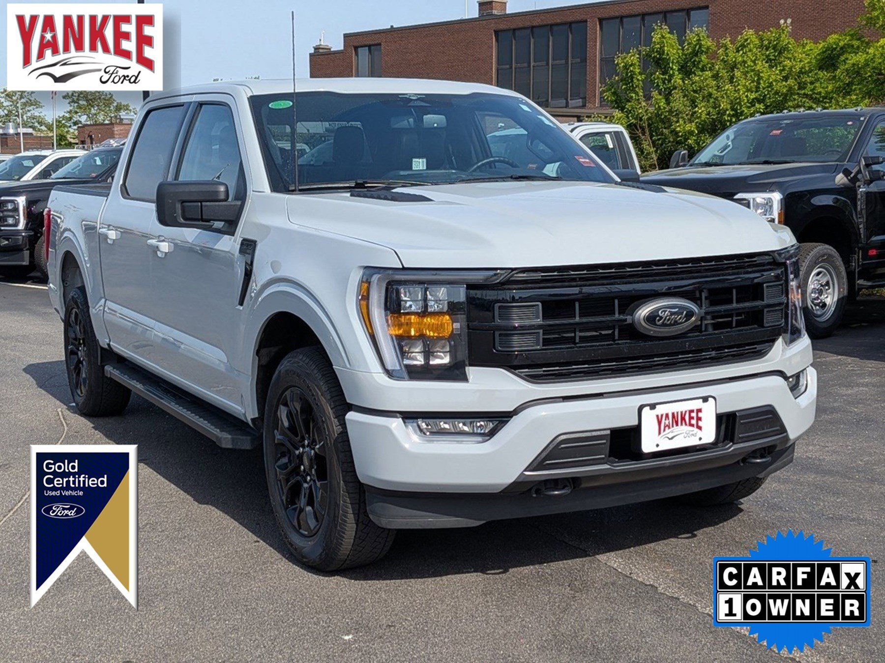 Used 2023 Ford F150 XLT w/ Equipment Group 302A High