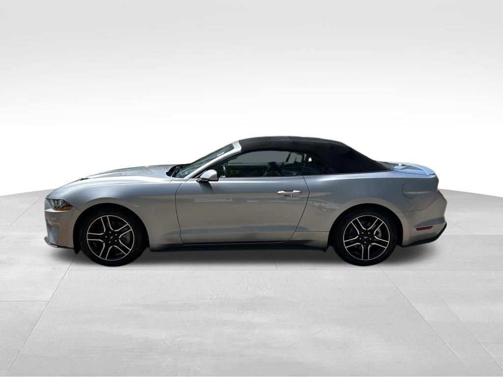 Used 2023 Ford Mustang Premium image 2