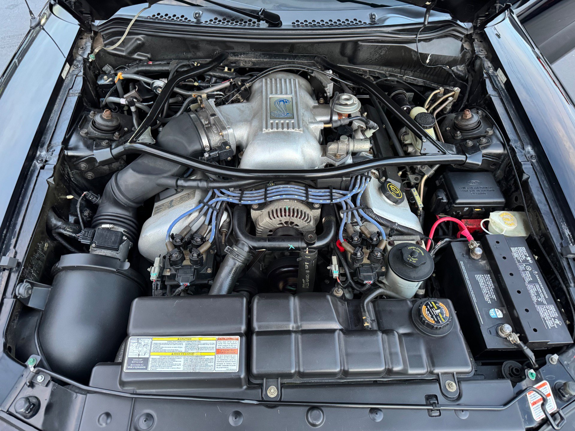 Used 1996 Ford Mustang Cobra RWD image 38