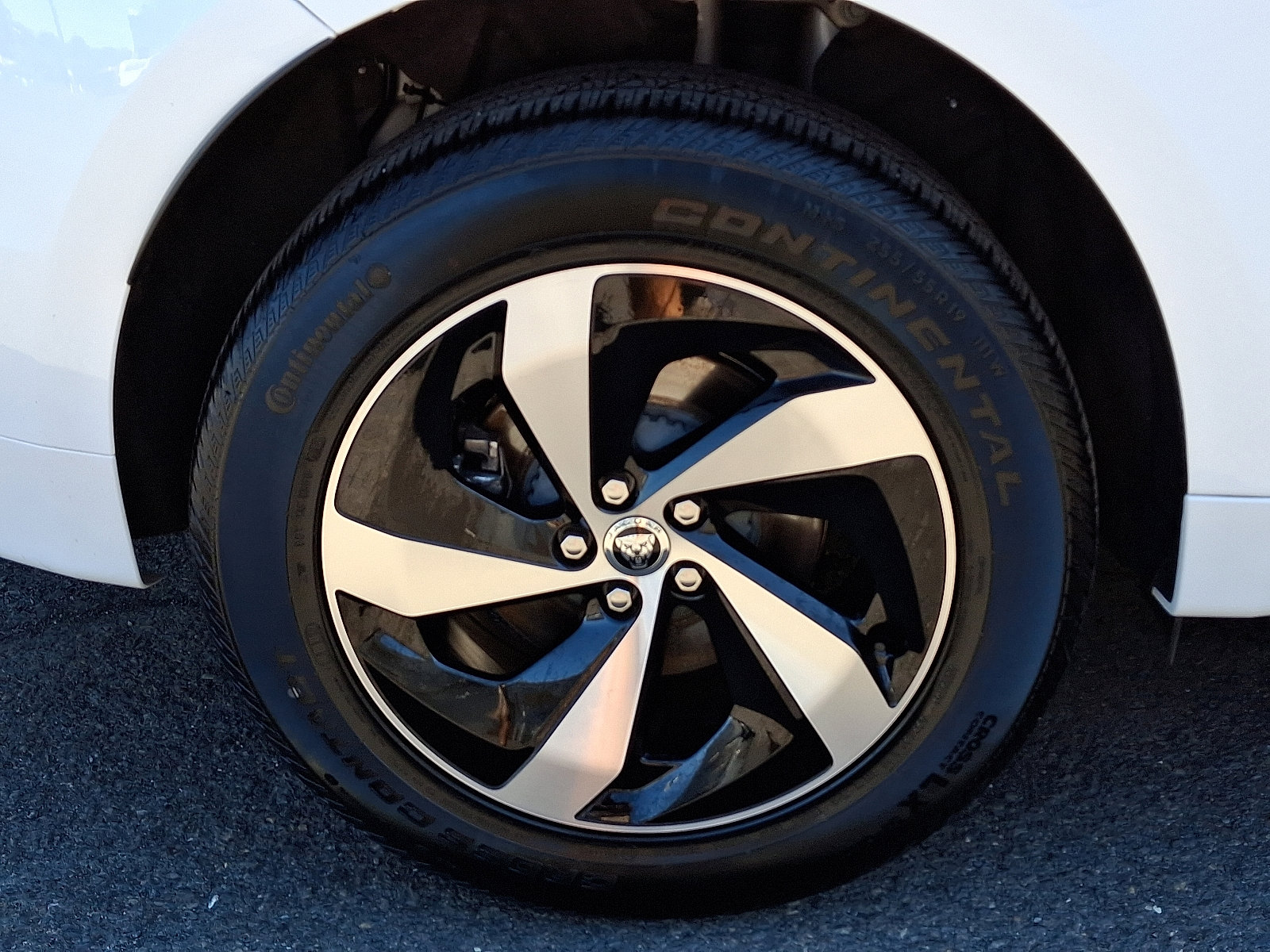 Used 2025 Jaguar F-PACE R-Dynamic S image 11