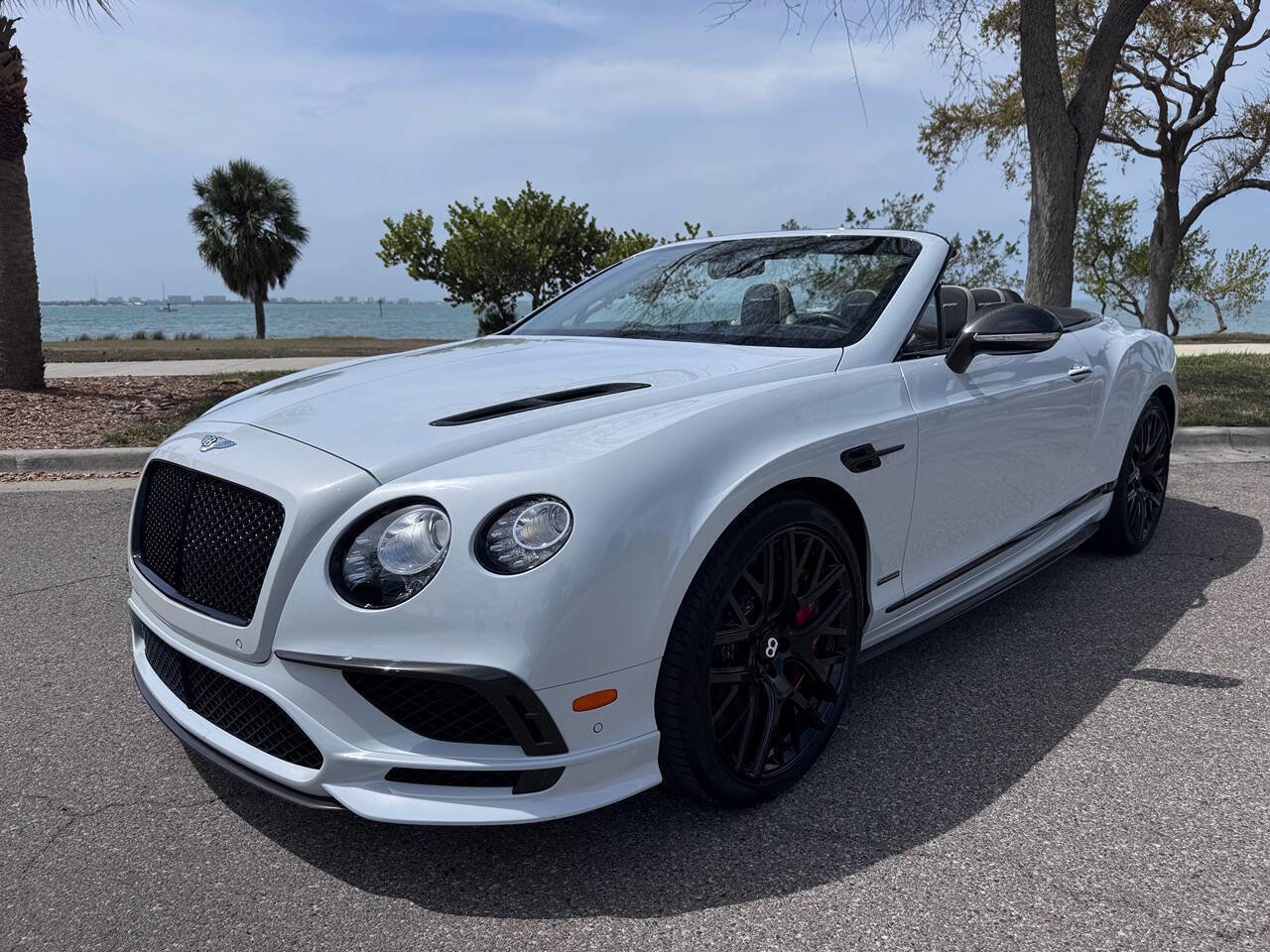 Used 2018 Bentley Continental GT Supersports image 13