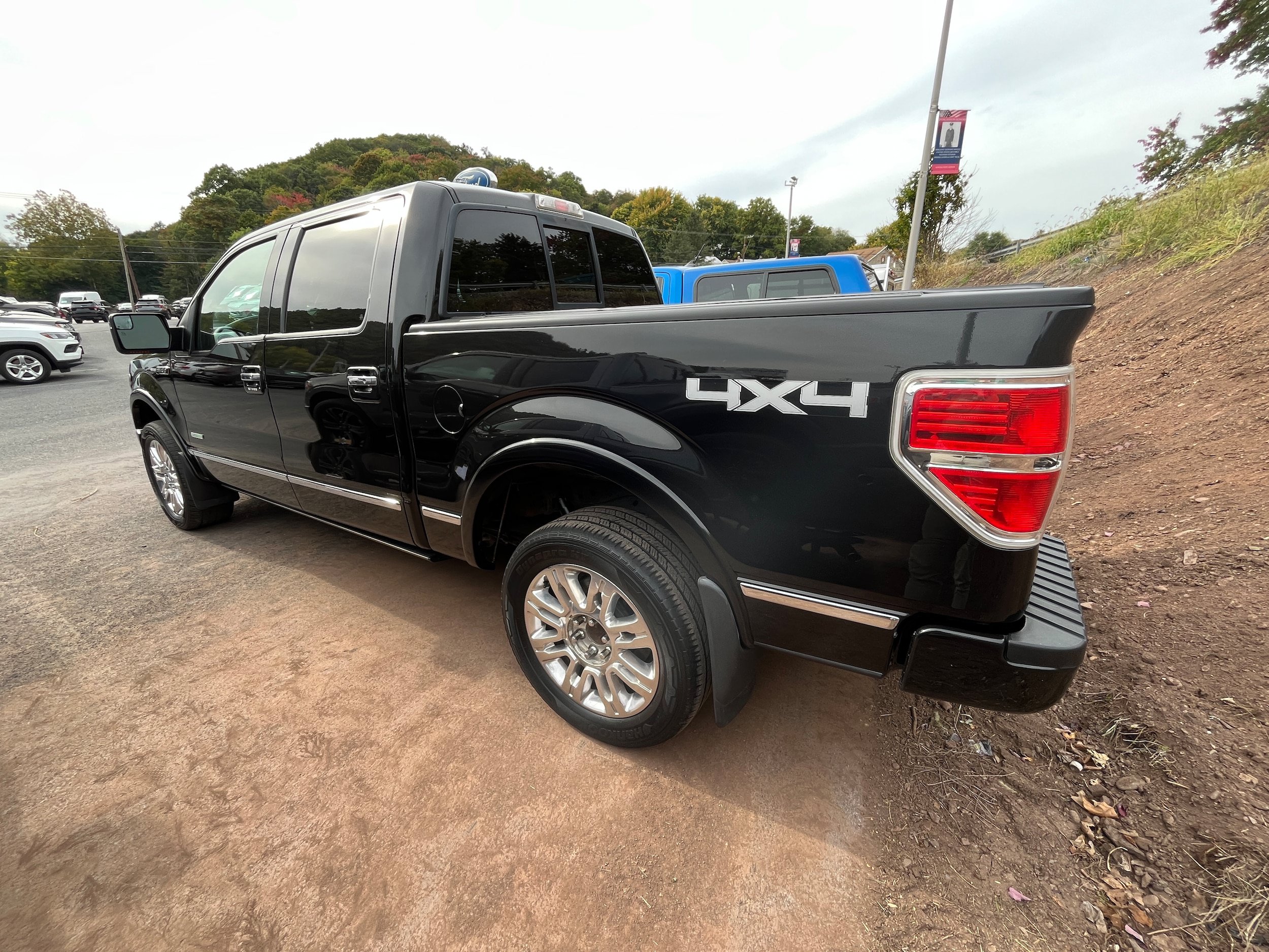 Used 2013 Ford F150 Platinum AWD/4WD image 8