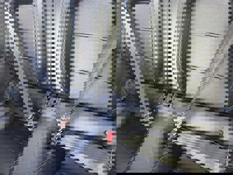 Used 2019 Ford Mustang GT Premium w/ Equipment Group 401A image 10