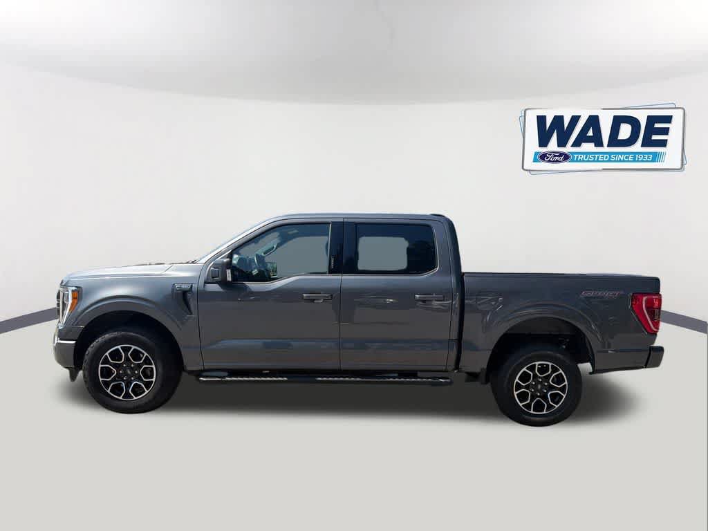 Used 2023 Ford F150 XLT w/ Equipment Group 302A High AWD/4WD image 8