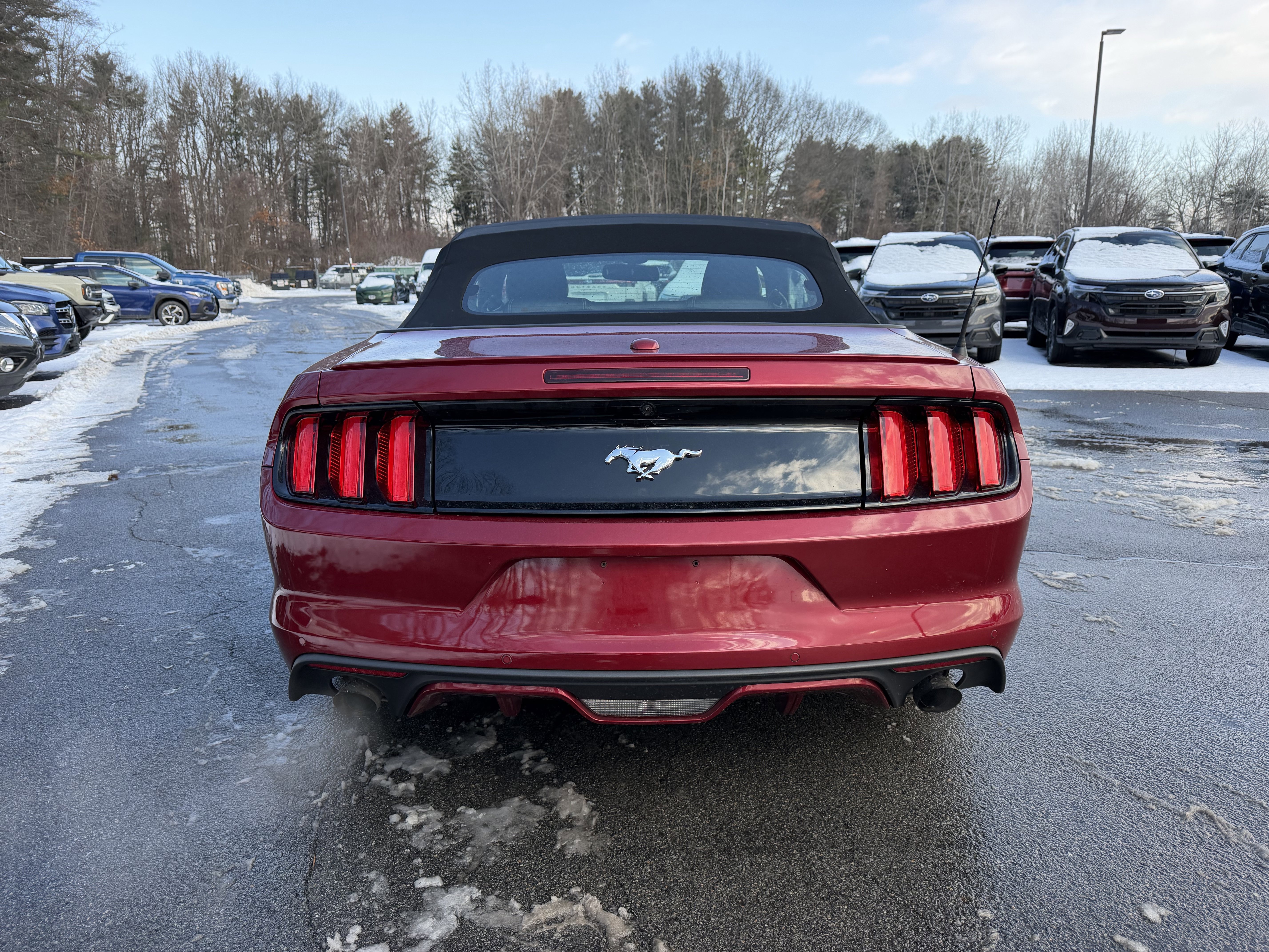 Used 2017 Ford Mustang Premium w/ Wheel & Stripe Package image 11