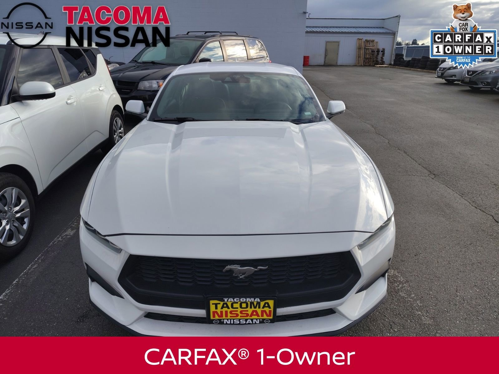 Used 2024 Ford Mustang EcoBoost video 2