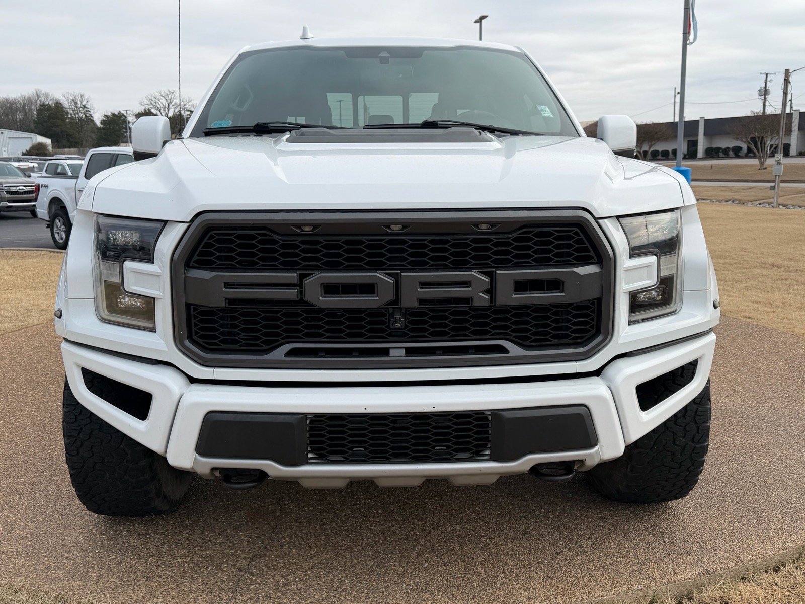 Used 2019 Ford F150 Raptor w/ Equipment Group 802A Luxury AWD/4WD image 2