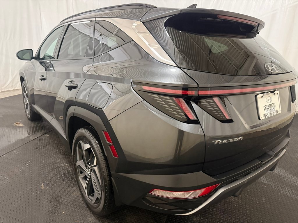 Used 2023 Hyundai Tucson Limited image 8