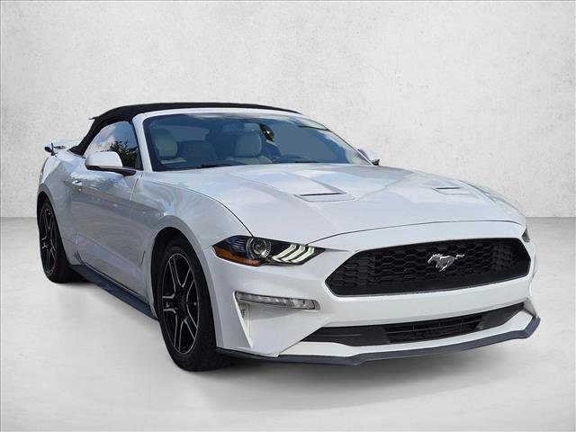 Used 2019 Ford Mustang Premium RWD image 3