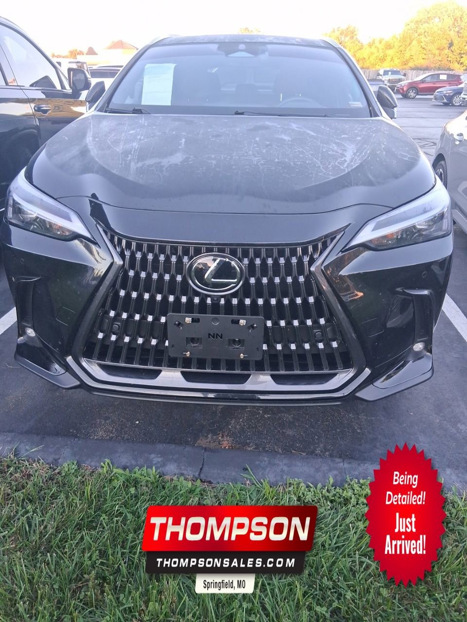 Used 2025 Lexus NX 350h AWD w/ Premium Package