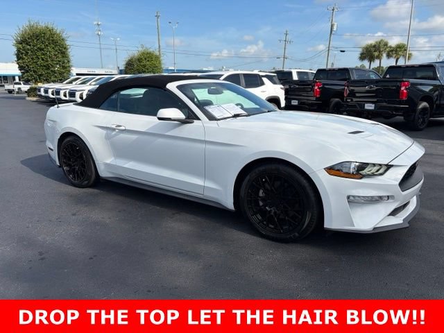Used 2020 Ford Mustang Premium RWD image 1
