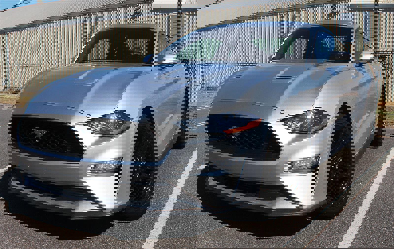 Used 2019 Ford Mustang Premium image 1