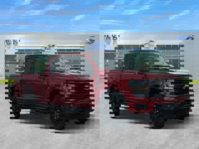 New 2025 Ford F150 XLT w/ Equipment Group 302A MID image 1