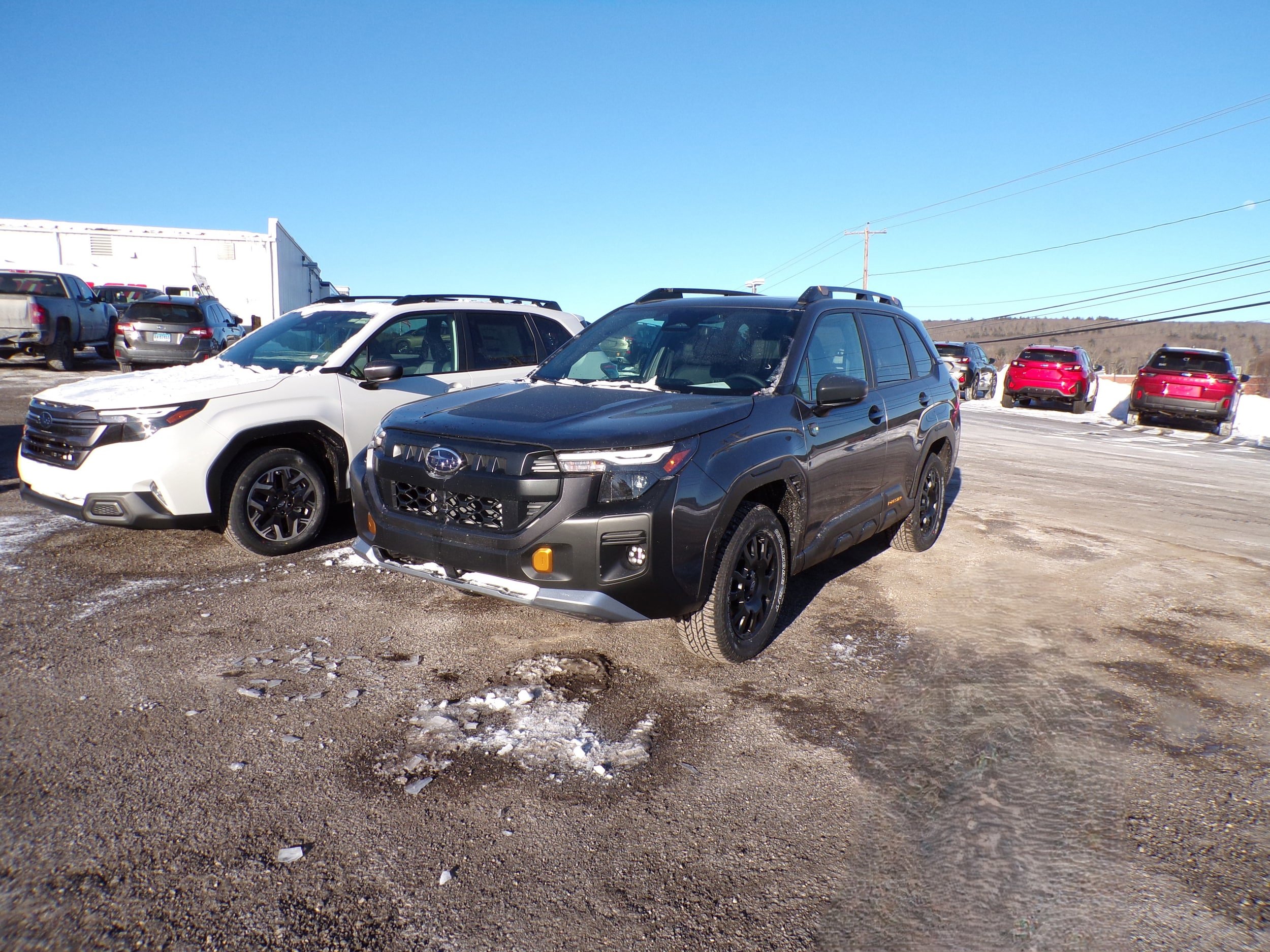 Certified 2026 Subaru Forester Wilderness