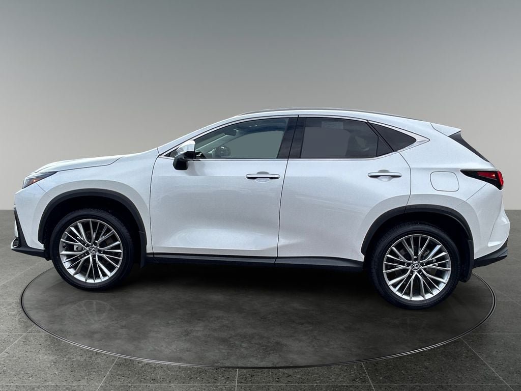 Used 2025 Lexus NX 350 AWD w/ Cold Area Package image 5