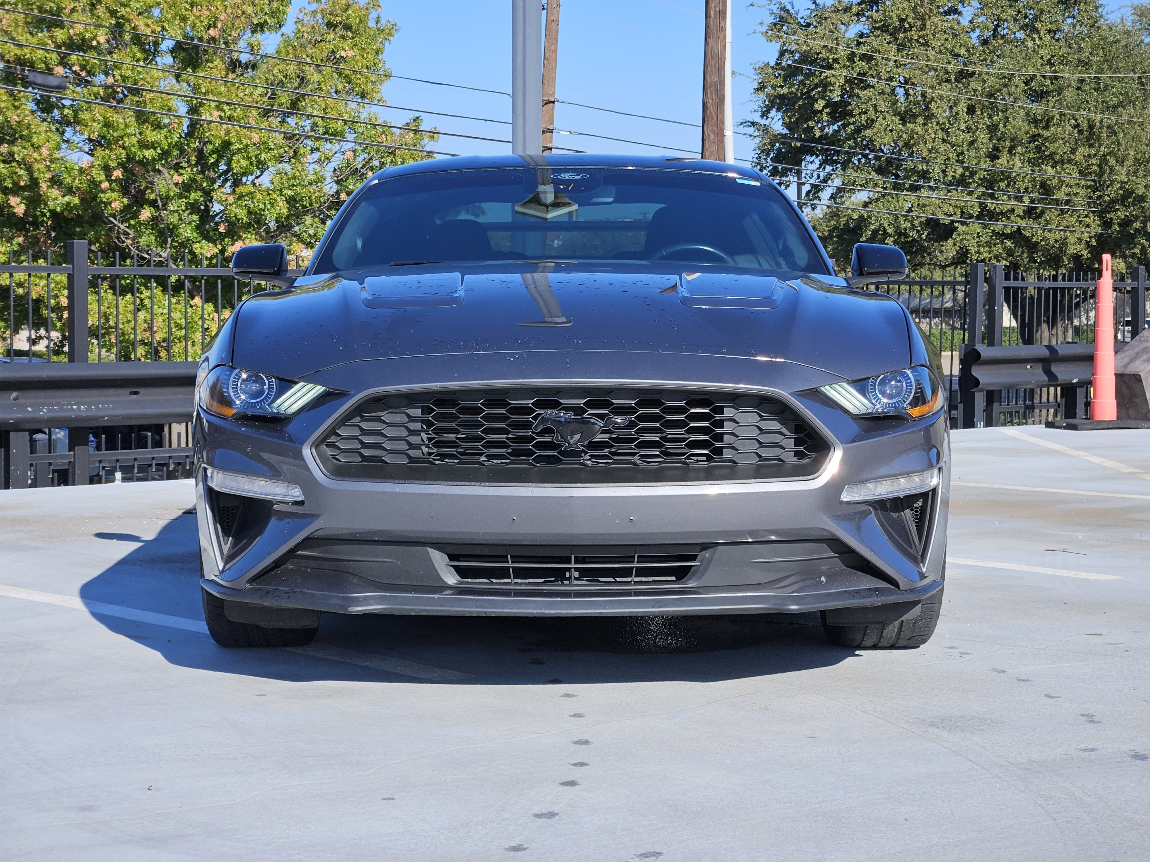 Used 2023 Ford Mustang EcoBoost w/ Equipment Group 101A image 6