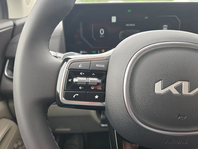 New 2025 Kia Carnival SX image 15