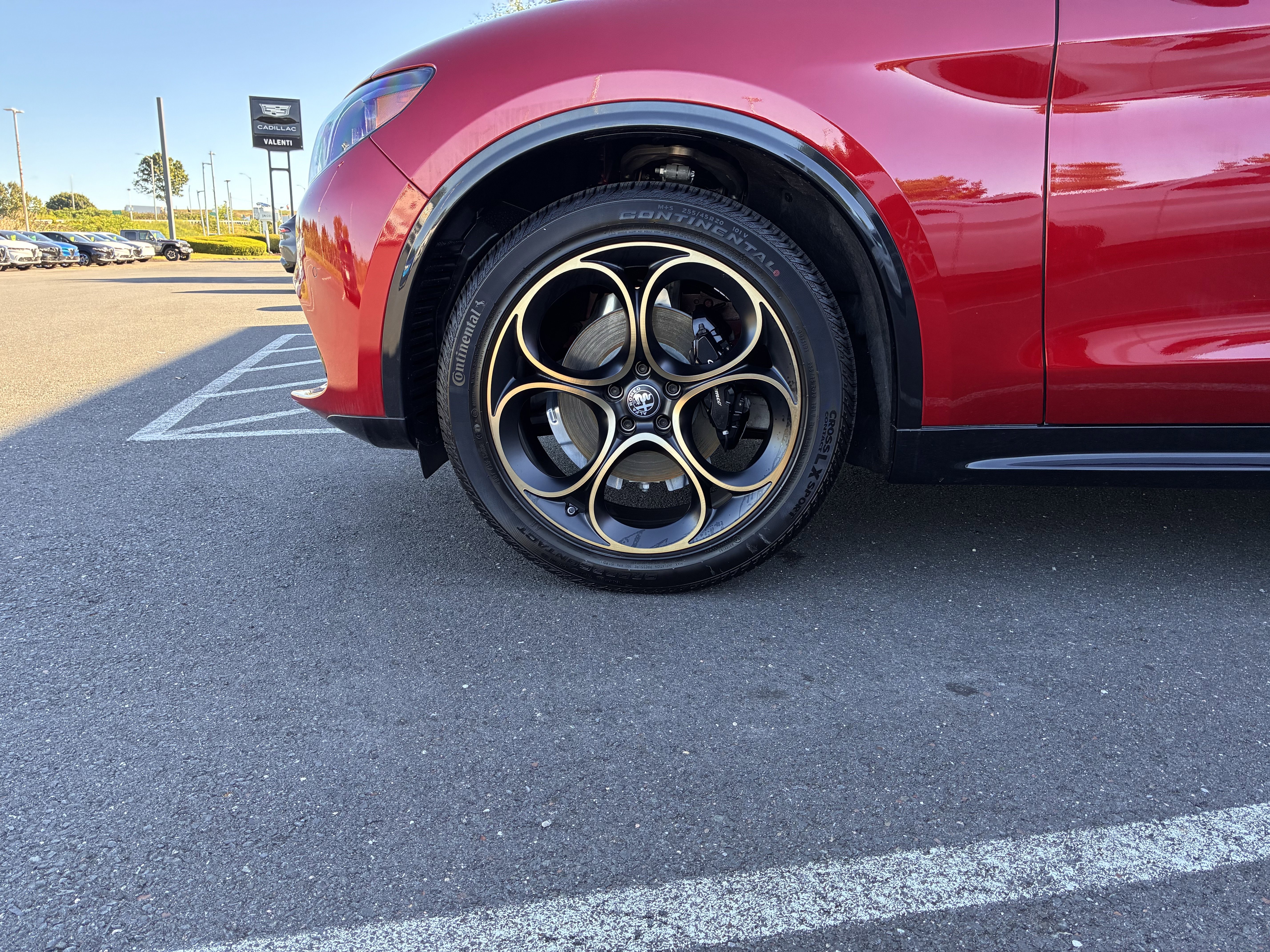 New 2025 Alfa Romeo Stelvio Sprint image 13