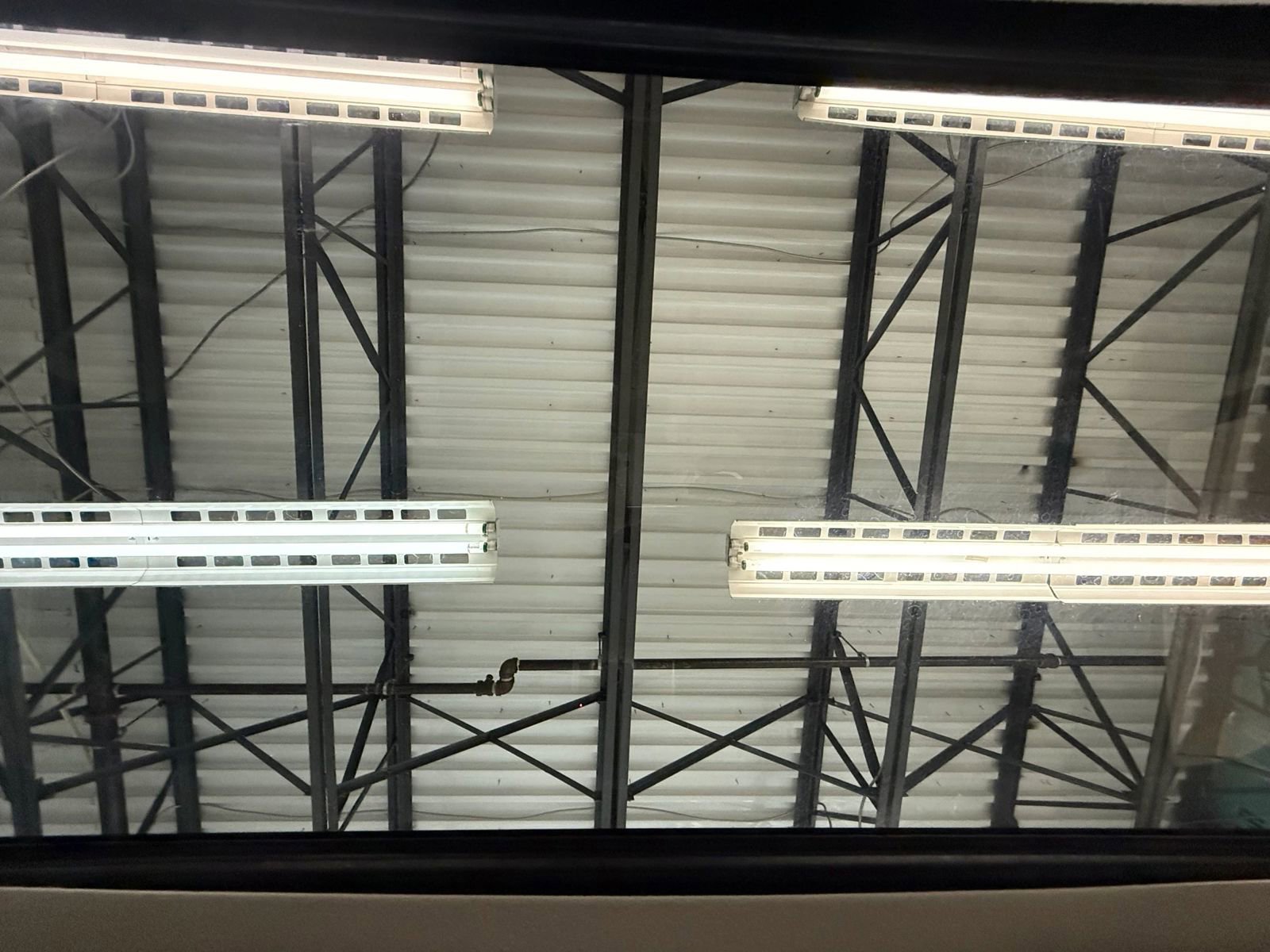 Used 2015 Lexus GX 460 Luxury image 36