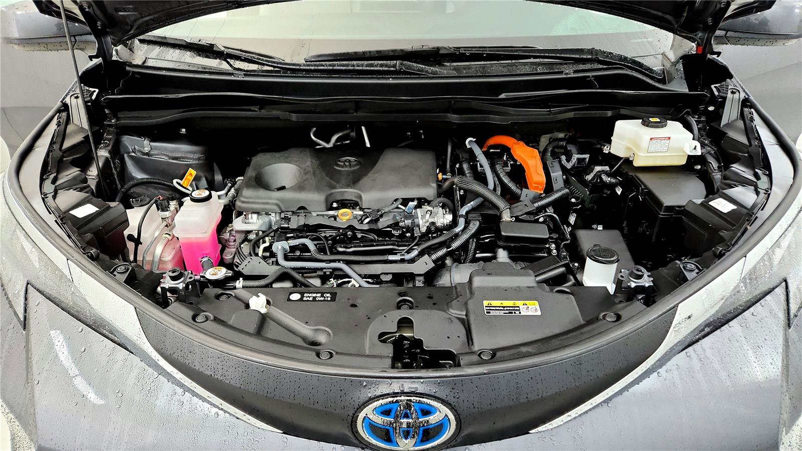 Used 2025 Toyota Sienna XLE w/ XLE Plus Package image 15