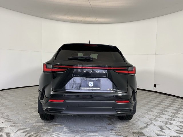 Used 2024 Lexus NX 250 AWD w/ Premium Package image 6