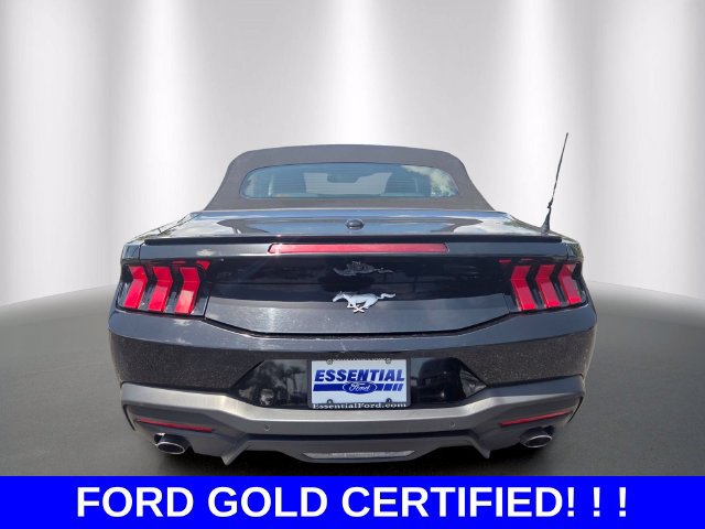 Used 2024 Ford Mustang Premium RWD image 4