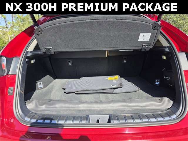 Used 2020 Lexus NX 300h AWD w/ Premium Package image 15