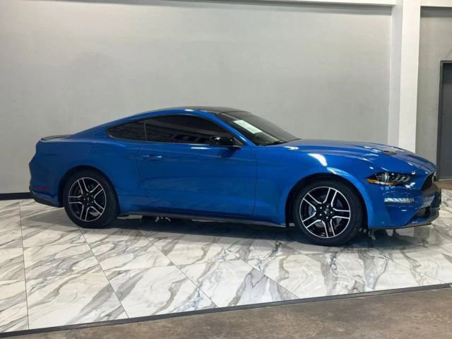 Used 2019 Ford Mustang EcoBoost w/ Equipment Group 101A image 5