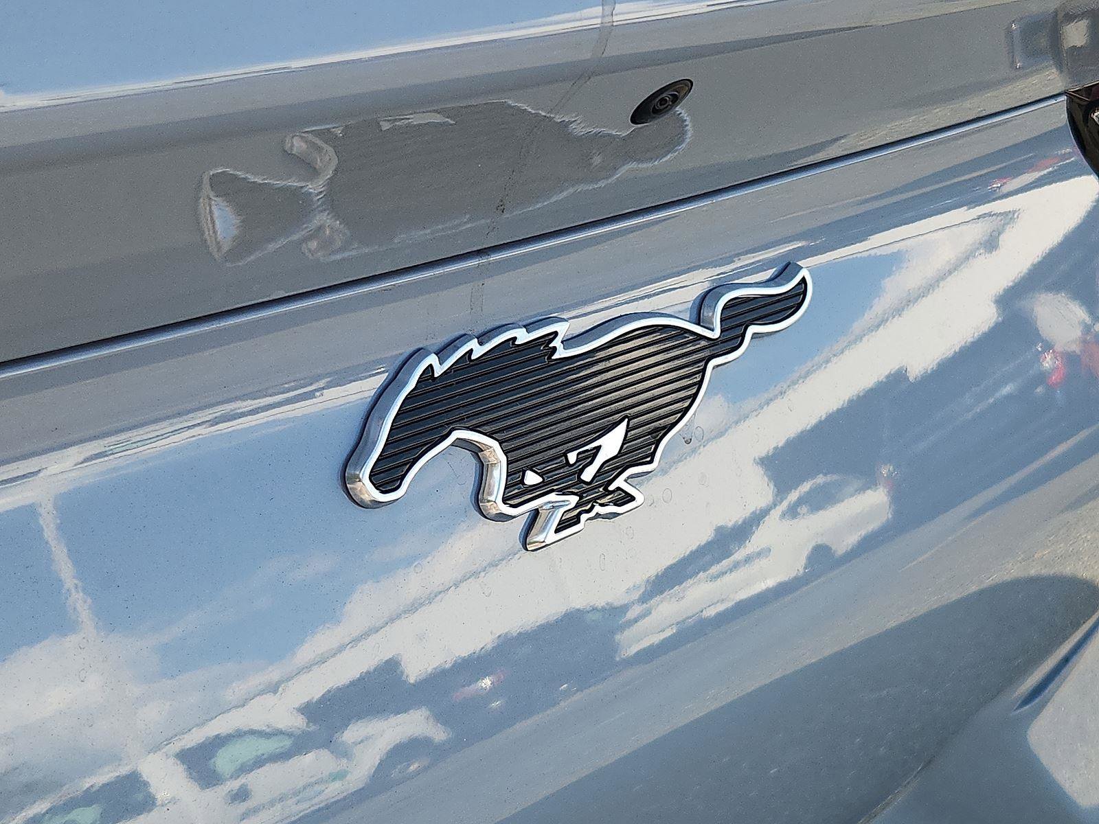 New 2025 Ford Mustang Mach-E Premium w/ Sport Appearance Package image 12