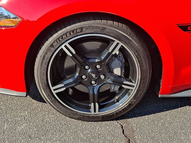 Used 2019 Ford Mustang GT Premium w/ Equipment Group 401A RWD image 8