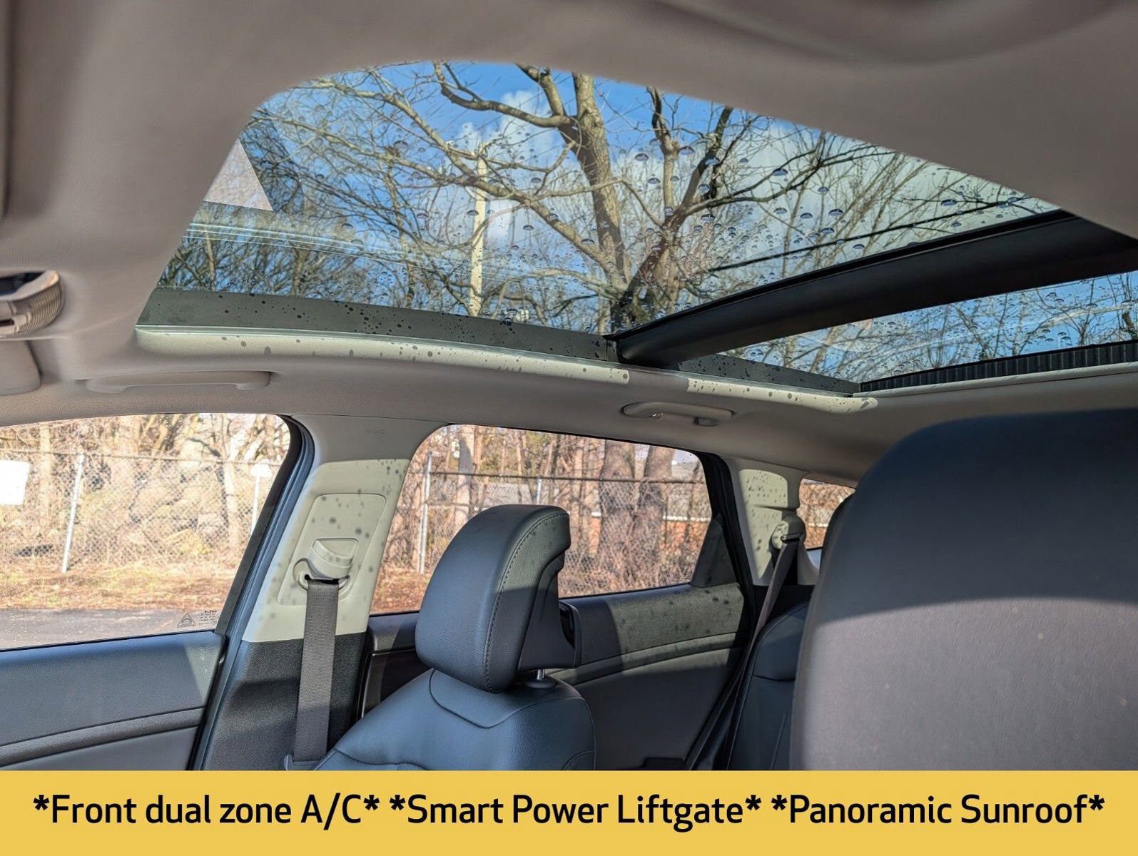 Used 2025 Kia Sportage EX w/ Premium Package image 5