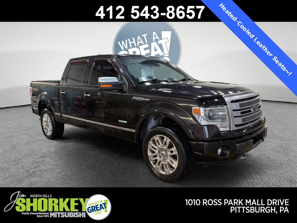Used 2013 Ford F150 Platinum image 1