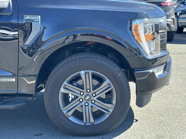 New 2023 Ford F150 XLT w/ Equipment Group 302A High image 38