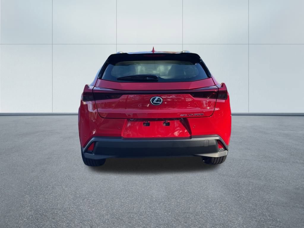 Used 2025 Lexus UX 300h AWD image 6