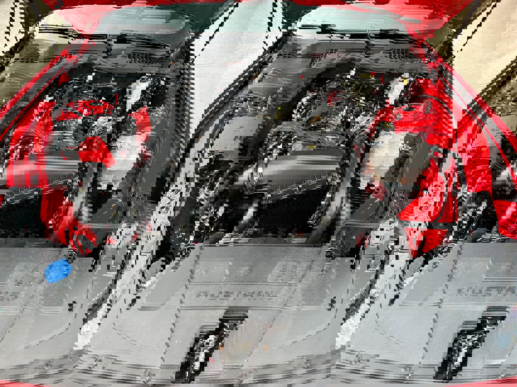 Used 2024 Ford Mustang Coupe image 22